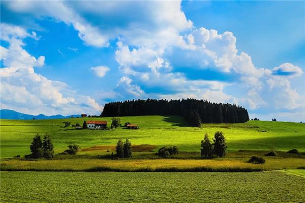 拆除工程的簡(jiǎn)單版合同。